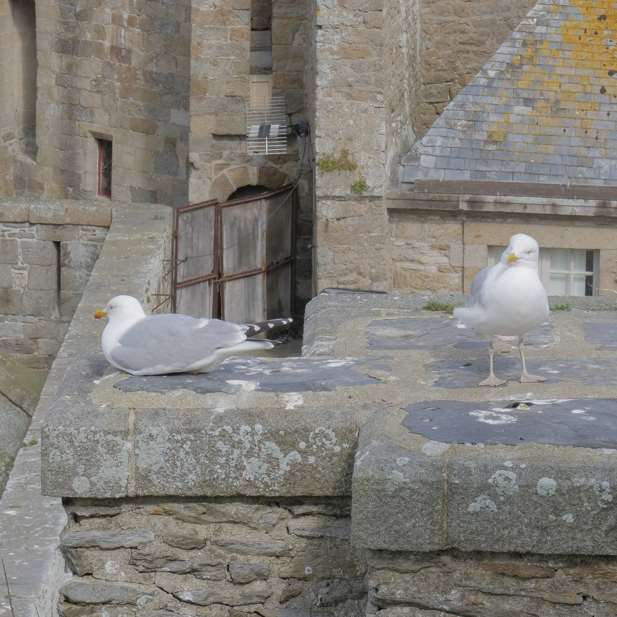 Saint Malo Bretagne