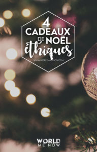THUMB_PINTEREST_noel_ecolo