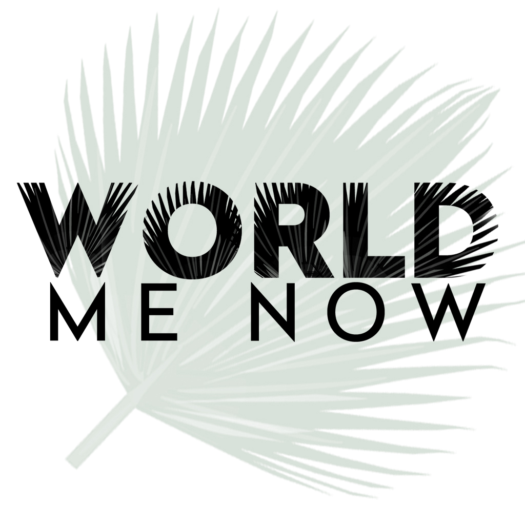 World Me Now logo