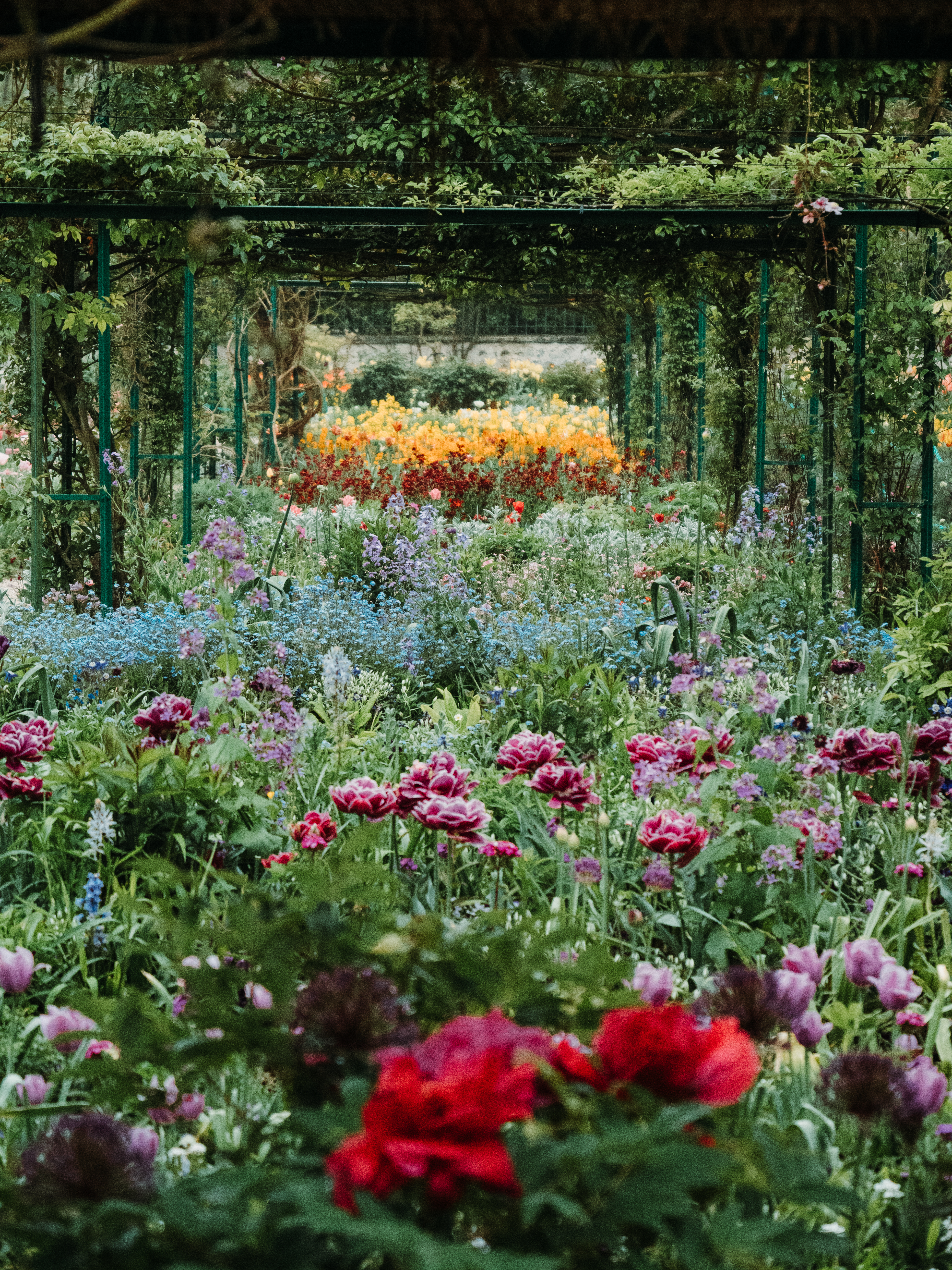 jardins Claude Monet Giverny